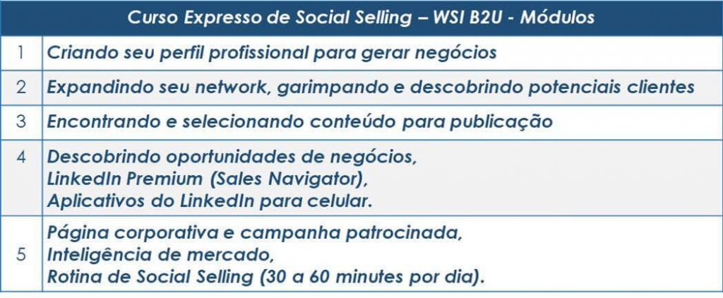 Estrutura do Curso de Social Selling