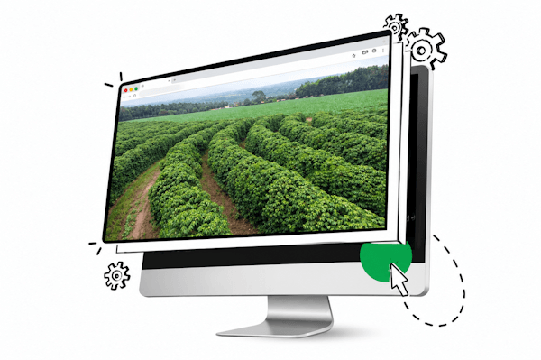 WSI B2U Agronegócio Encontrando Comprador